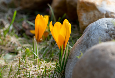 Similar image 21555945