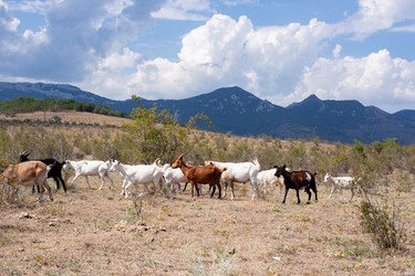 Similar image 21555947