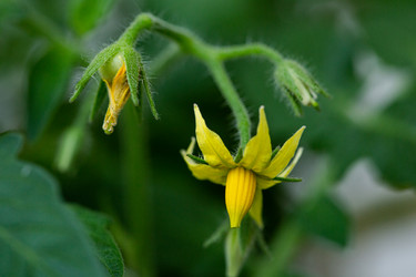 Similar image 21555948