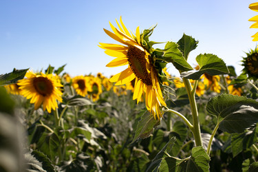 Similar image 21555954