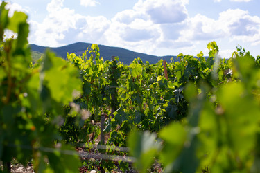 Similar image 21555962