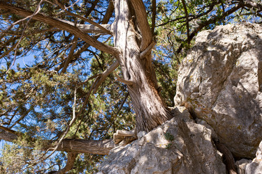 Similar image 21555963