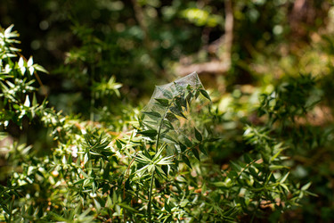 Similar image 21555965