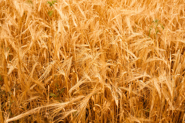 Similar image 21555966