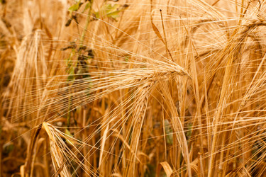 Similar image 21555967