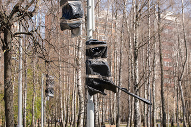 Similar image 21555969