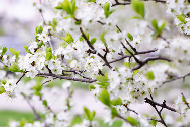 Similar image 21555974