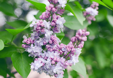 Similar image 21555762