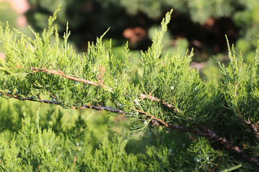 Similar image 21555764