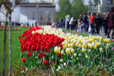 Similar image 21555767