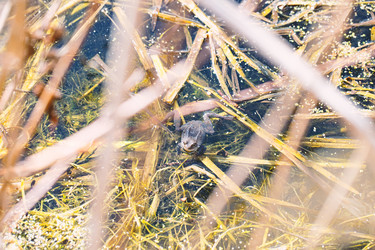 Similar image 21555770