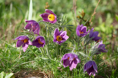 Similar image 21555771