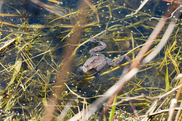 Similar image 21555777