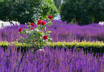 Similar image 21555778