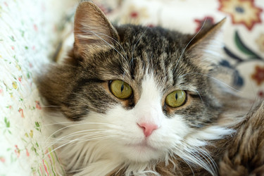 Similar image 21555779