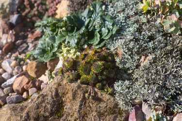 Similar image 21555783