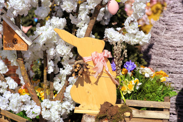 Similar image 21555784