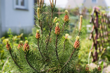 Similar image 21555785