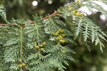 Similar image 21555793