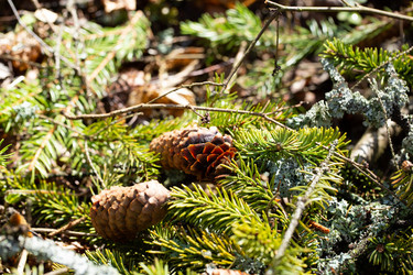 Similar image 21555794