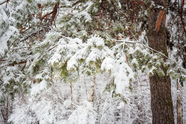 Similar image 21555795