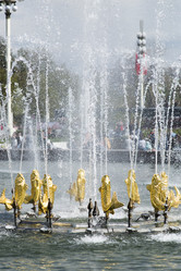 Similar image 21555796