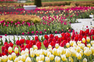 Similar image 21555797