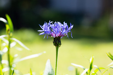 Similar image 21555798