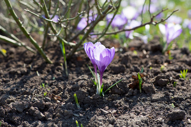 Similar image 21555805