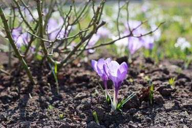 Similar image 21555807