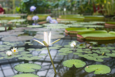 Similar image 21555810