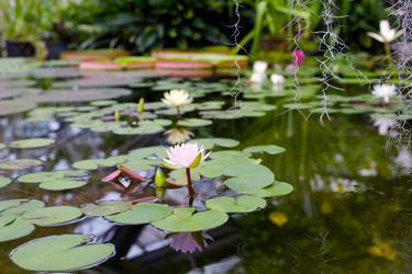 Similar image 21555813