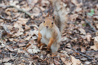 Similar image 21608880