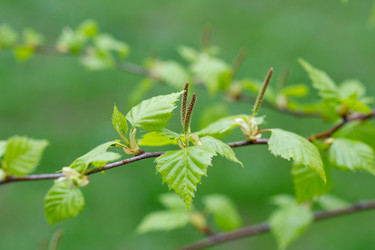 Similar image 21608881