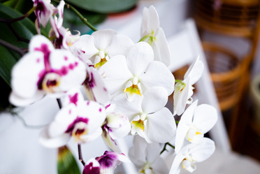 Similar image 21608882