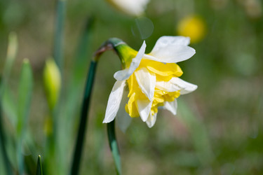 Similar image 21611092