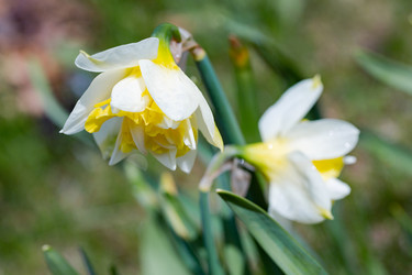 Similar image 21555815