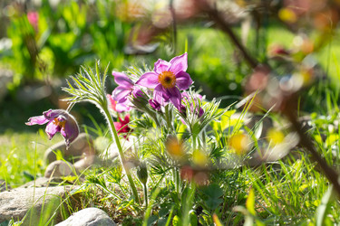 Similar image 21555817