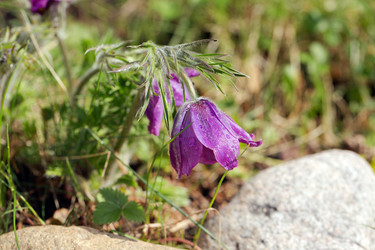 Similar image 21555818