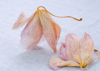 Similar image 21555819