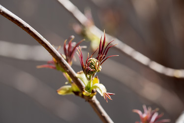 Similar image 21555820