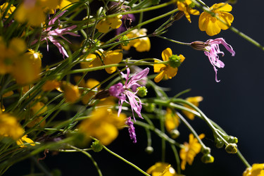 Similar image 21555821