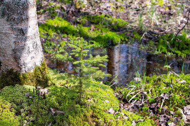 Similar image 21555823