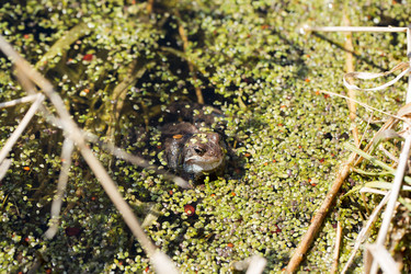 Similar image 21555824