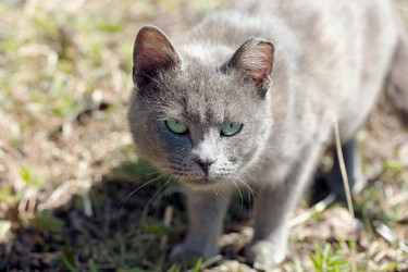 Similar image 21555825