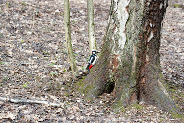 Similar image 21608884