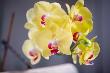 Similar image 21555829