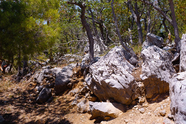 Similar image 21555830