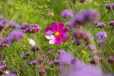 Similar image 21555831