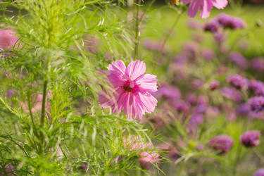 Similar image 21555832